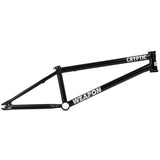 Cryptic Weapon Frame