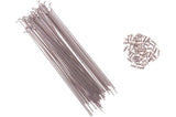 Primo Spokes