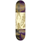 Real Ascend Ramondetta Deck