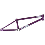 Cryptic Weapon Frame